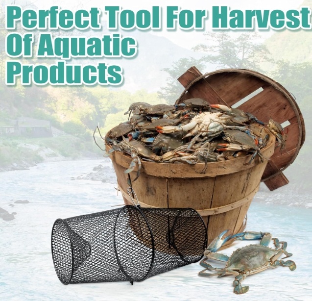 Metal Kerevit Tuzağı Istakoz T - Fishing Equipment Market incelemesi ve fiyatı