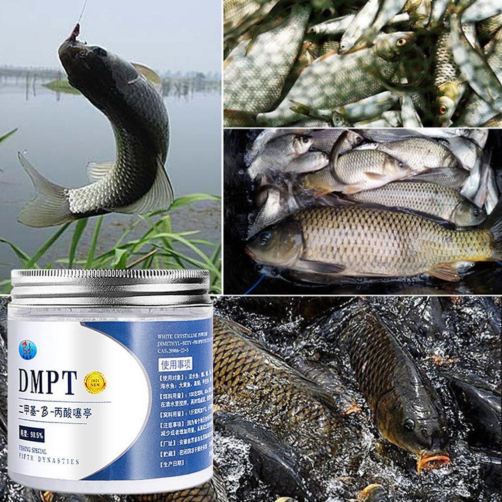 50g gerçek DMPT yüksek saflıkt - Fishing Equipment Market incelemesi ve fiyatı